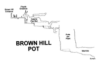Anon XXXX Brown Hill Pot - Elevation